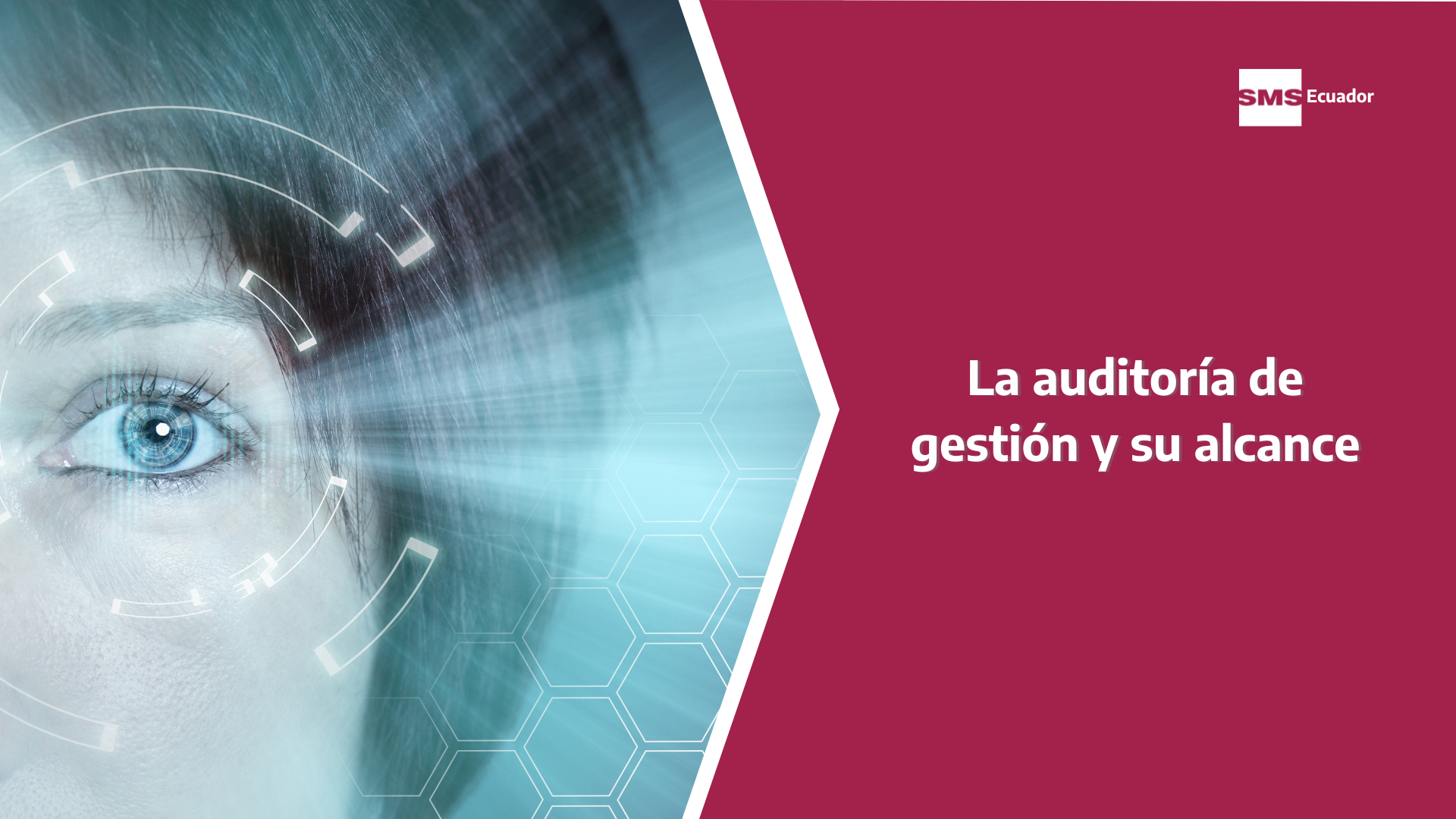 mejores prácticas en una auditoría de gestión