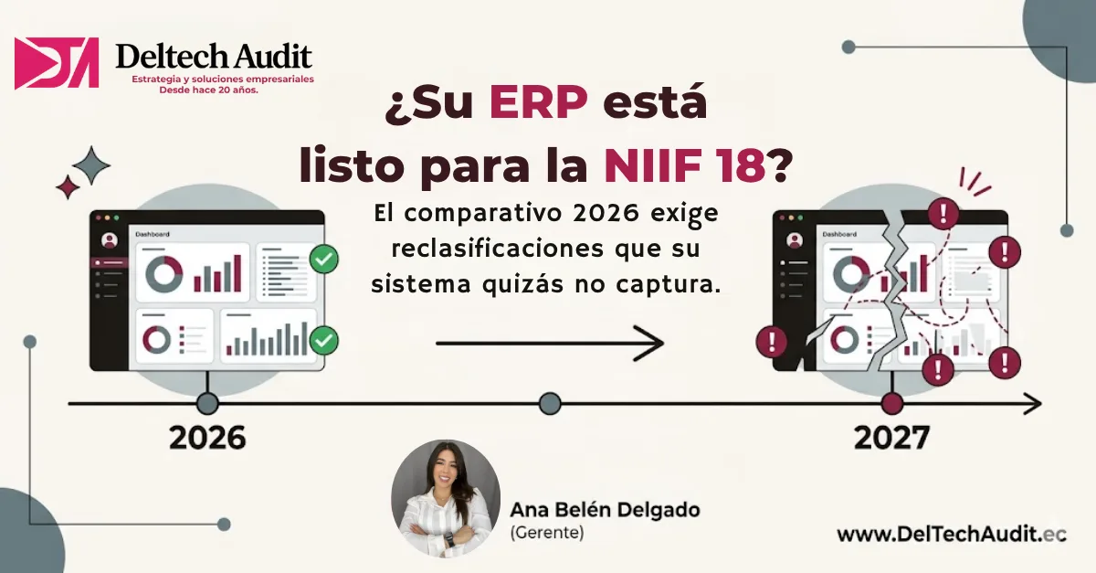 NIIF EN ERP
