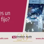 que significa activo fijo x