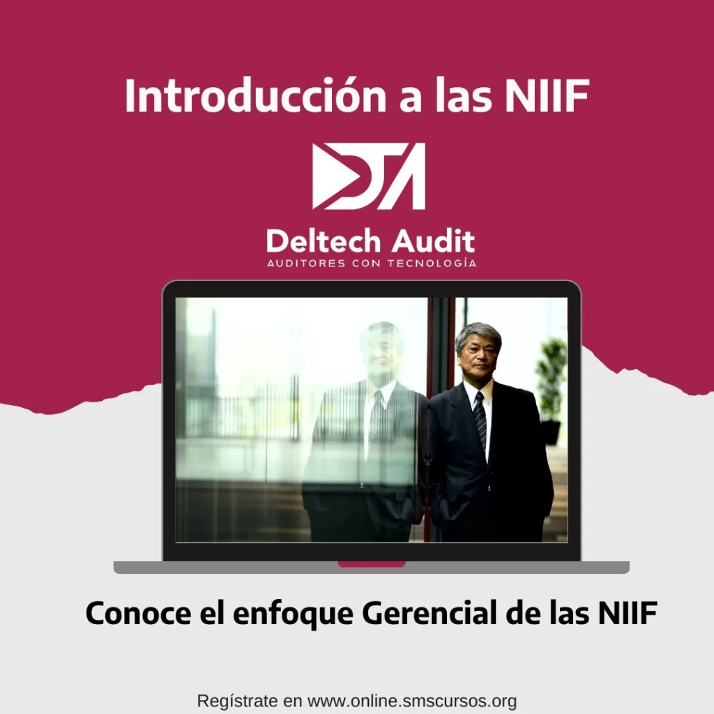 Introducción a las NIIF Introducción a las NIIF