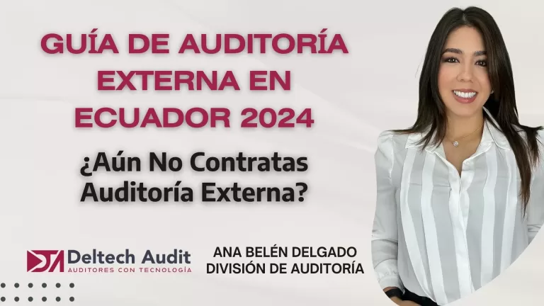 Guía De Auditoría Externa En Ecuador 2024
