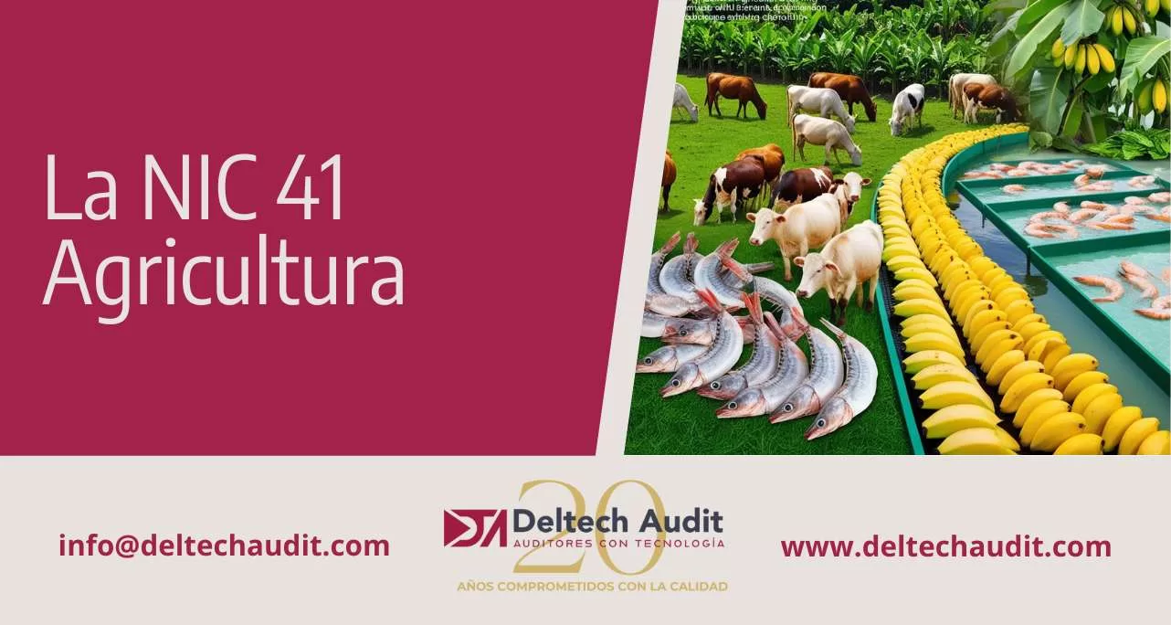 NIC 41 AGRICULTURA