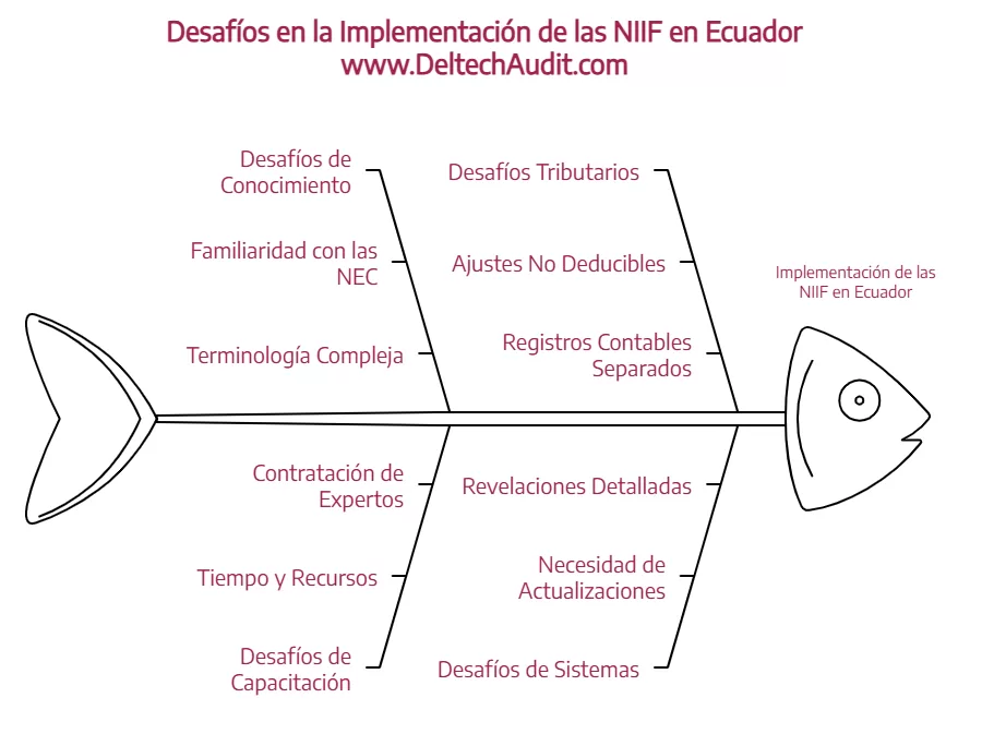 implementación de las NIIF