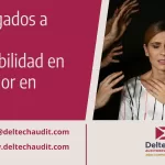 obligados a llevar contabilidad x