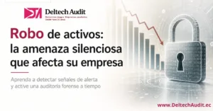 Robo de activos x